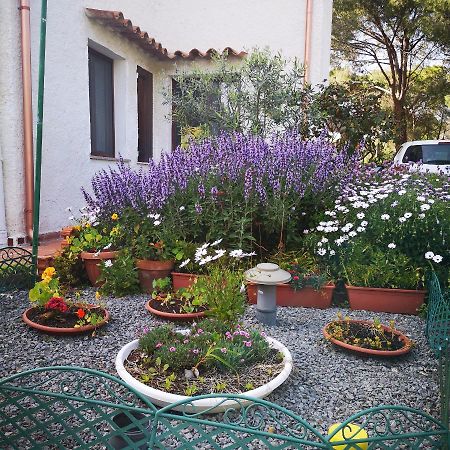 Villa Manuela Pula Ngoại thất bức ảnh